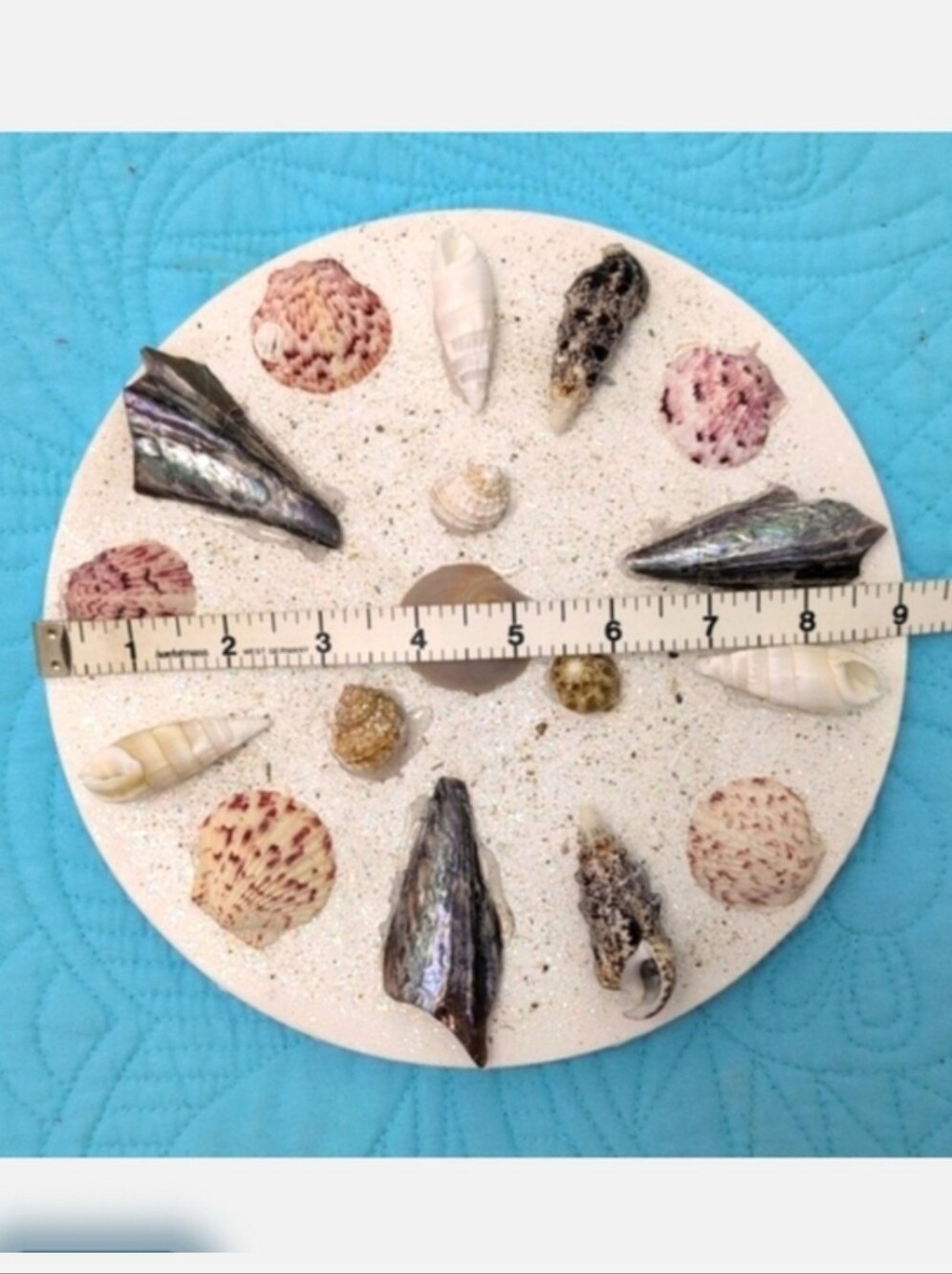 Seashell Art Wall Art. Home Decor Beach Art Coastal Home Goods - Picture 4 of 9
